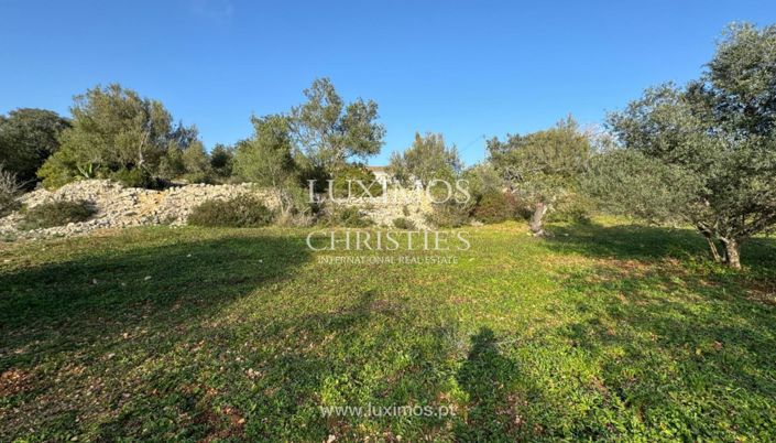 Image No.5-Terre à vendre à Loule