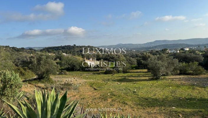 Image No.10-Terre à vendre à Loule