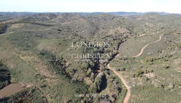 Image No.11-Land for sale