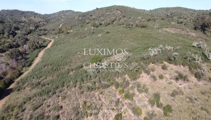 Image No.5-Land for sale