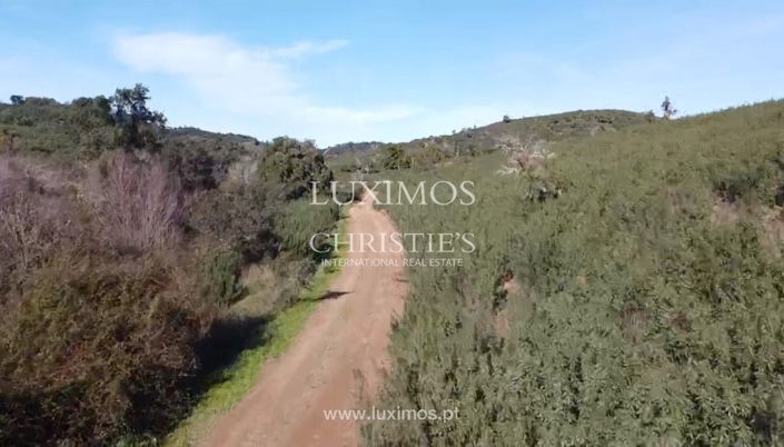 Image No.4-Terre à vendre à Silves