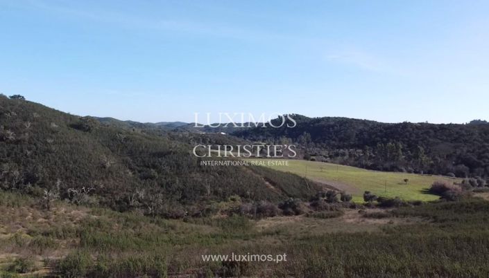 Image No.6-Terre à vendre à Silves