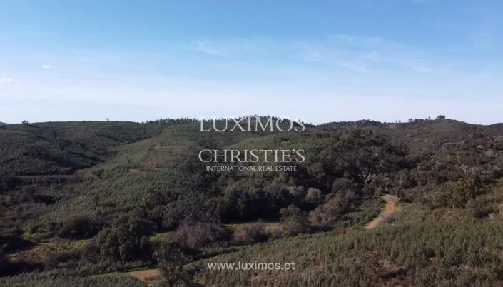 Image No.9-Terre à vendre à Silves