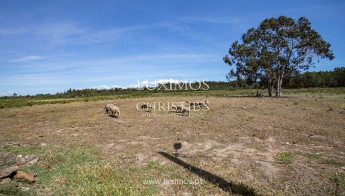 Image No.8-Land for sale