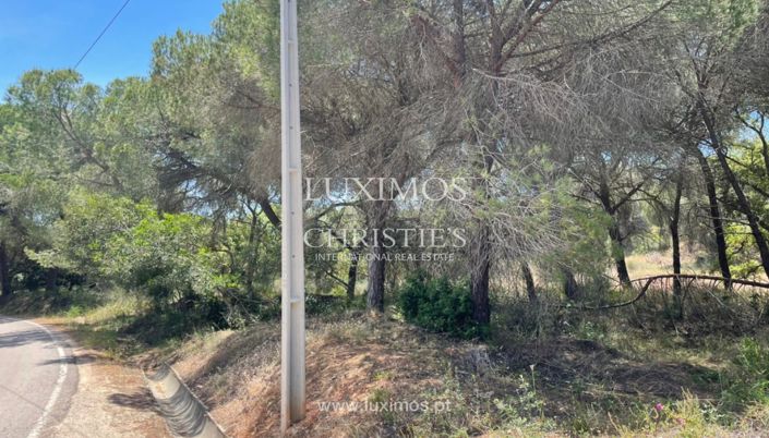 Image No.11-Terre à vendre à Quinta do Lago
