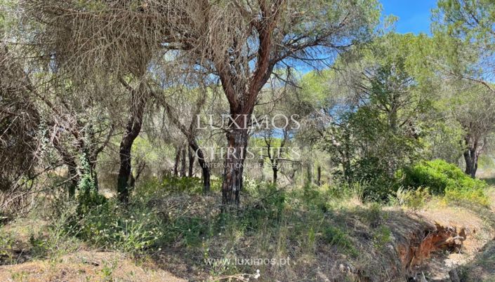 Image No.5-Terre à vendre à Quinta do Lago