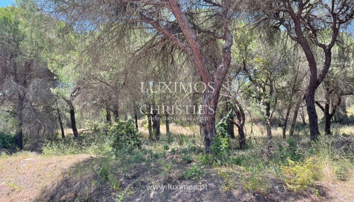 Image No.6-Terre à vendre à Quinta do Lago