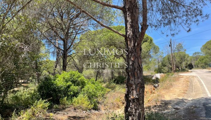 Image No.8-Terre à vendre à Quinta do Lago