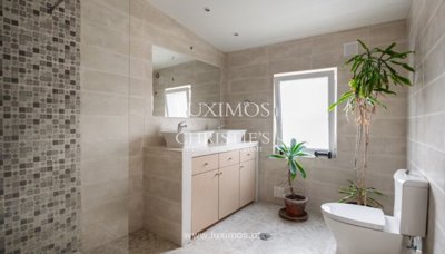 prod331385lg