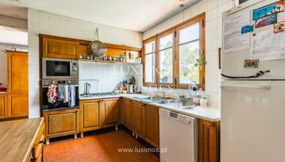 prod332733lg