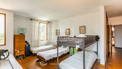 prod332739lg