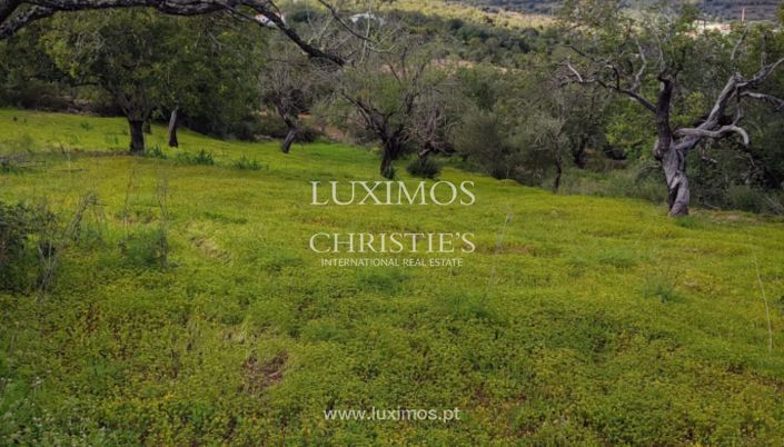 Image No.11-Land for sale