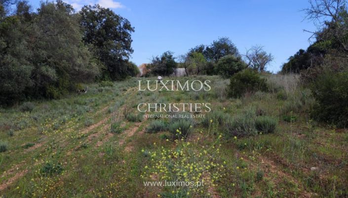 Image No.12-Terre à vendre à Faro City
