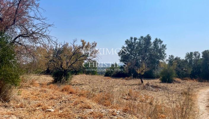 Image No.5-Land for sale