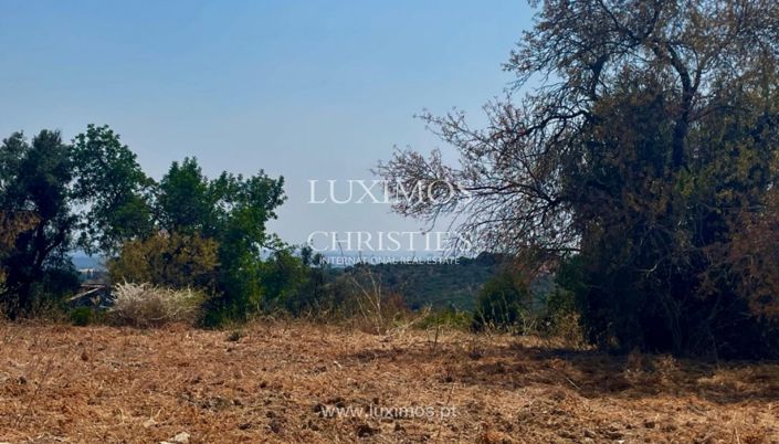 Image No.6-Land for sale