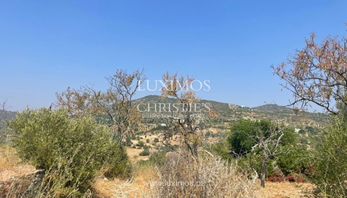 Image No.8-Terre à vendre à Faro City