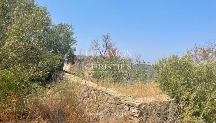 Image No.7-Land for sale