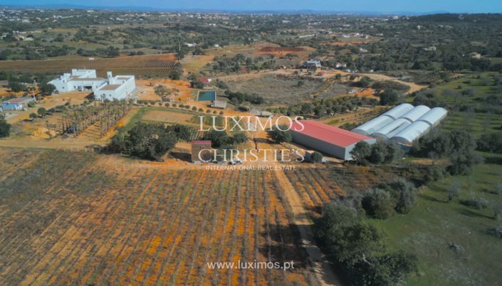 Image No.31-Ferme de 39 chambres à vendre à Albufeira