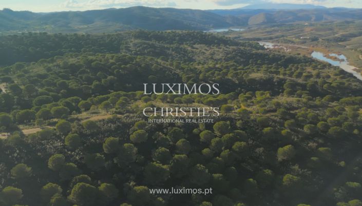 Image No.5-Land for sale