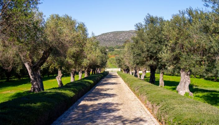 Image No.3-3 Bed Farmhouse for sale