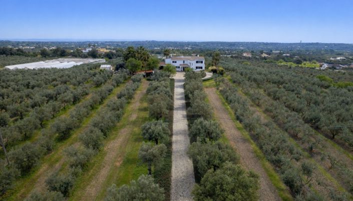 Image No.25-3 Bed Farmhouse for sale