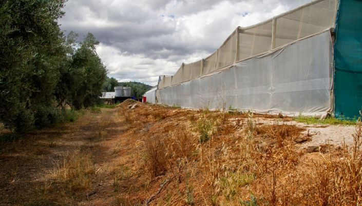 Image No.31-3 Bed Farmhouse for sale