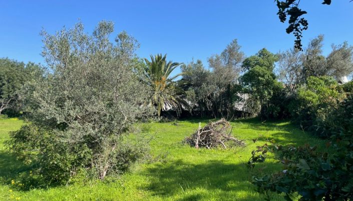 Image No.5-Land for sale