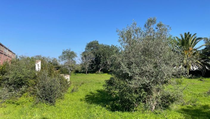 Image No.6-Land for sale