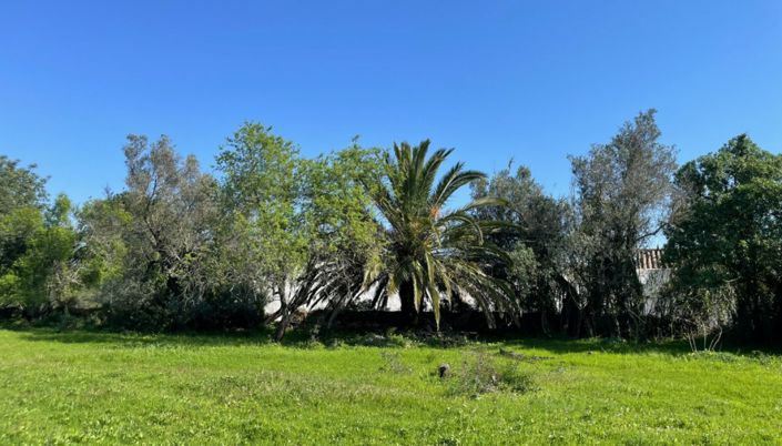 Image No.7-Land for sale