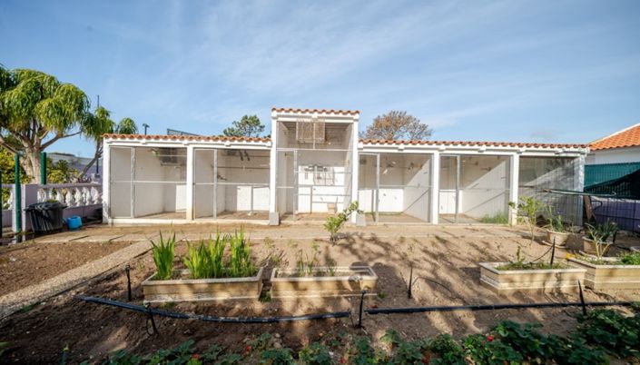 Image No.26-Commercial for sale