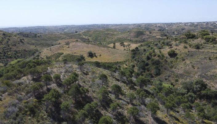 Image No.5-Land for sale