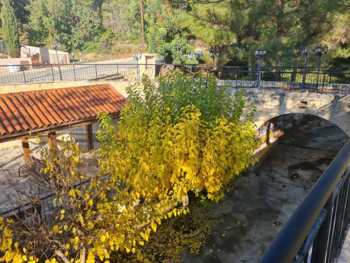 Image No.12-Villa de 3 chambres à vendre à Souni