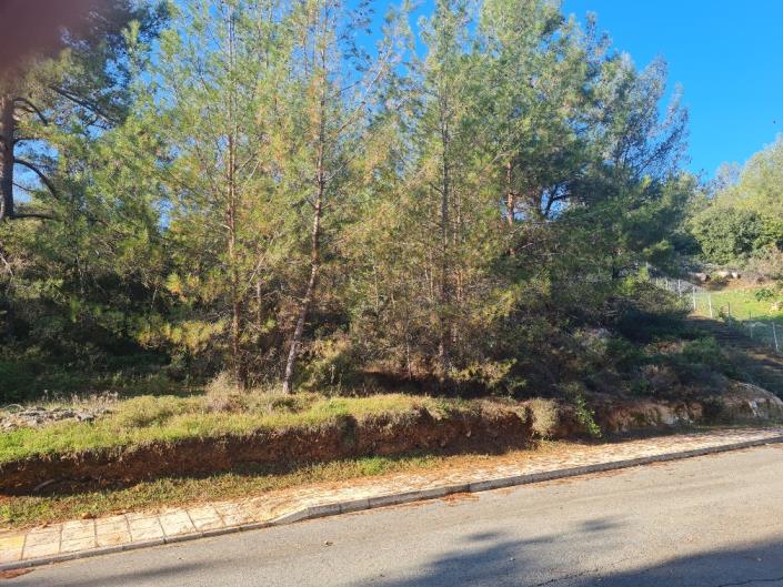 Image No.20-Villa de 4 chambres à vendre à Souni