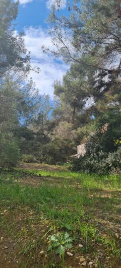 Image No.6-10 Bed Villa for sale