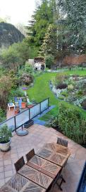 Garden-north-wet-day