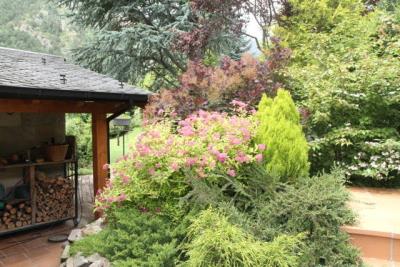 Back-Door-Porch