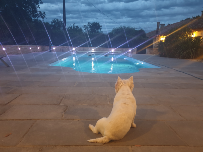 Image No.8-Maison / Villa de 4 chambres à vendre à Chef-Boutonne