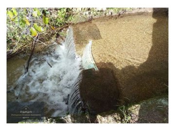 id46505501-0000-0500-0000-00000f6c2922