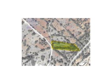 idae3e6101-0000-0500-0000-000013ea0c09