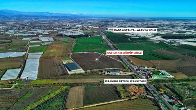 serik-135-sat-l-k-tarla--13-