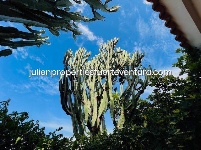 Image No.25-4 Bed Villa for sale