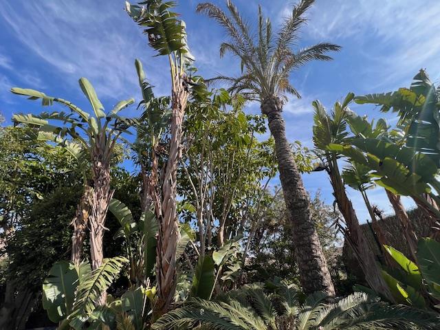 Image No.6-4 Bed Chalet for sale