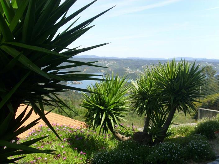 Image No.39-7 Bed House/Villa for sale