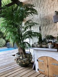 thumbnail_IMG_8478