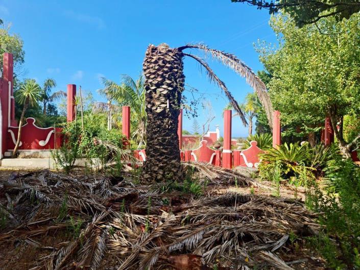 Image No.19-4 Bed Country Property for sale