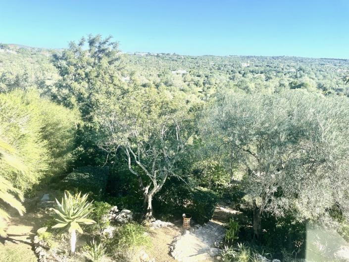 Image No.13-Villa de 5 chambres à vendre à Moncarapacho