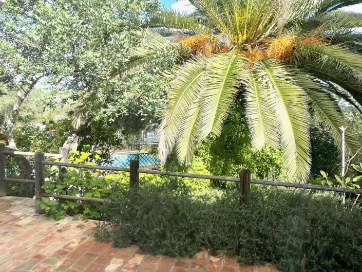 Image No.43-Villa de 5 chambres à vendre à Moncarapacho