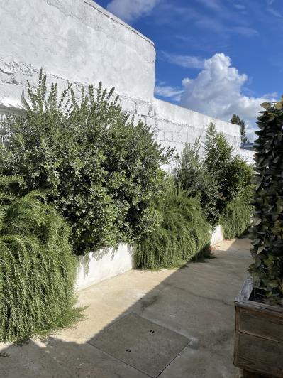 Image No.7-Maison / Villa de 11 chambres à vendre à Grândola