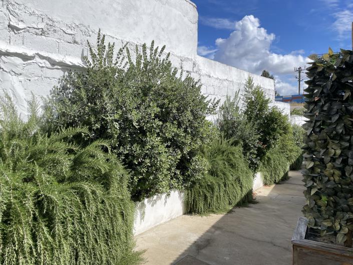 Image No.8-Maison / Villa de 11 chambres à vendre à Grândola