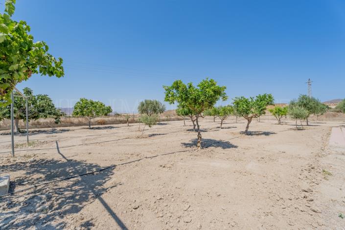 Image No.29-2 Bed Cortijo for sale